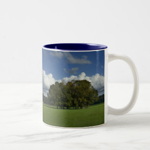 Trees in Grass Field Mug