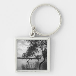Trees in lake key ring
