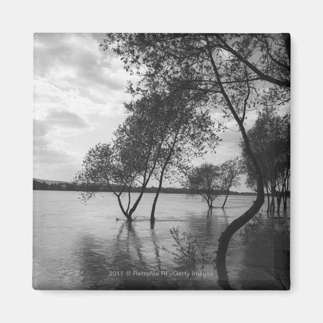 Trees in lake magnet (Front)