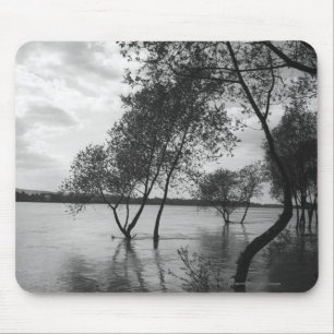 Trees in lake mouse pad