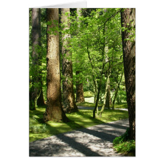 Trees in Nitobe Garden