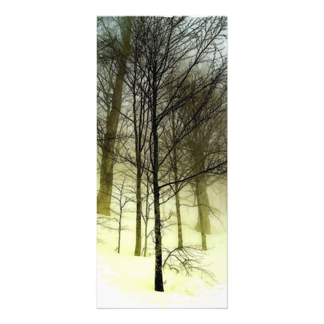 Trees in Snow Rack Card (Front)