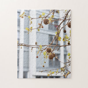 Trees in Spring North London United Kingdom UK Jigsaw Puzzle