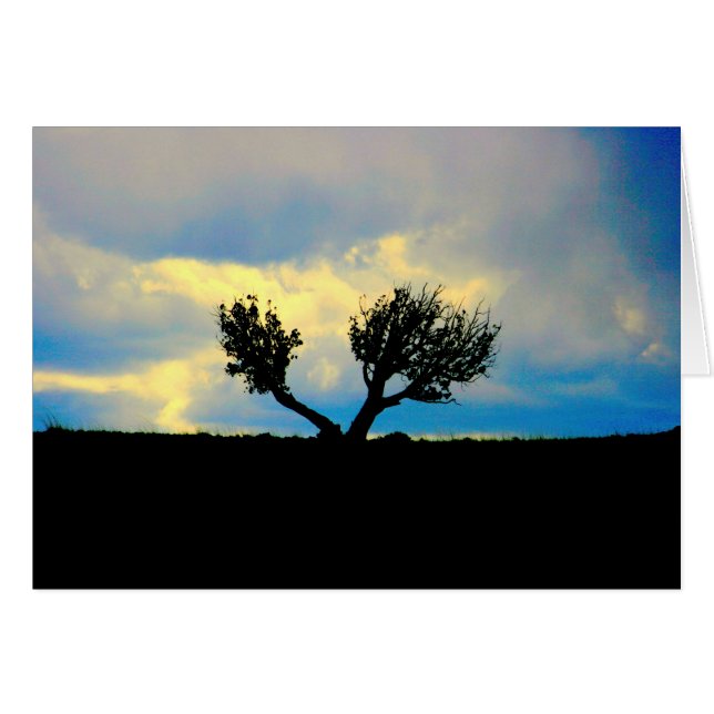 Trees in the Desert (Front Horizontal)