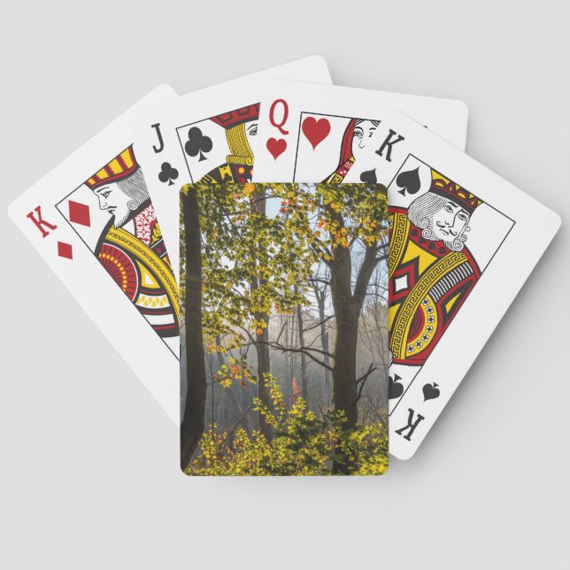 Trees In The Fog Playing Cards (Back)