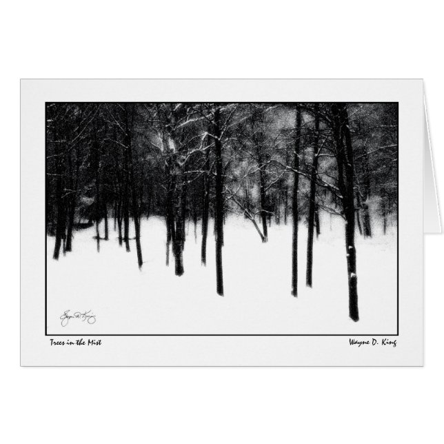 Trees in the Mist (Front Horizontal)
