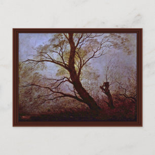 Trees In The Moonlight By Friedrich Caspar David Postcard
