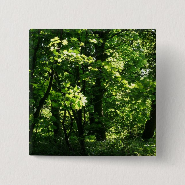 Trees in the Spring. Bute Park, Cardiff. Wales 15 Cm Square Badge (Front)
