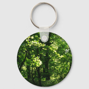 Trees in the Spring. Bute Park, Cardiff. Wales Key Ring