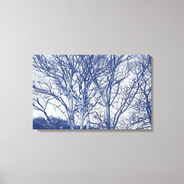 Trees in Winter - Cyanotype Effect Canvas Print (Front)