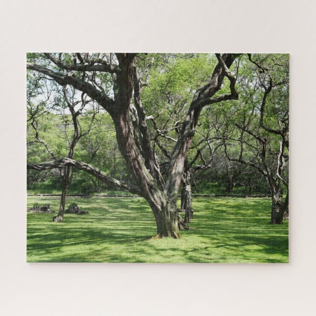 Trees Jigsaw Puzzle (Horizontal)