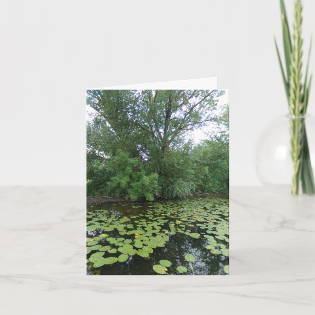 Trees Lake Lily Pads Note Cards (10) (Front)