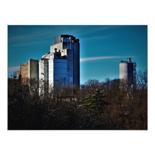 "Trees: Limited Time Only" Photo Print (Front)