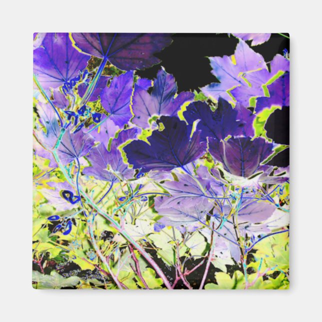 TREES MAGNET (Front)