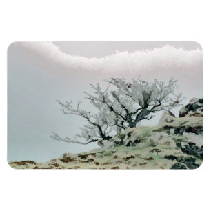 TREES MAGNET