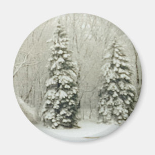 trees magnet