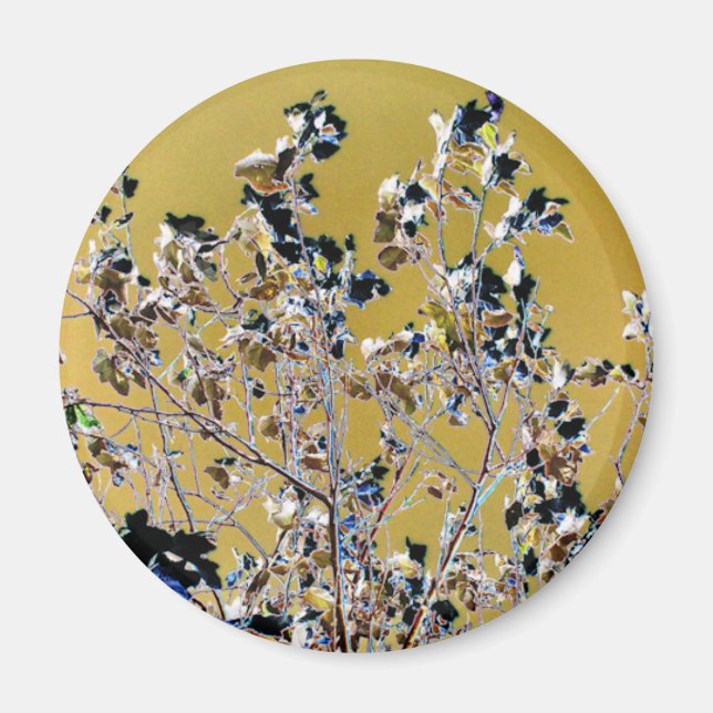 TREES MAGNET (Front)