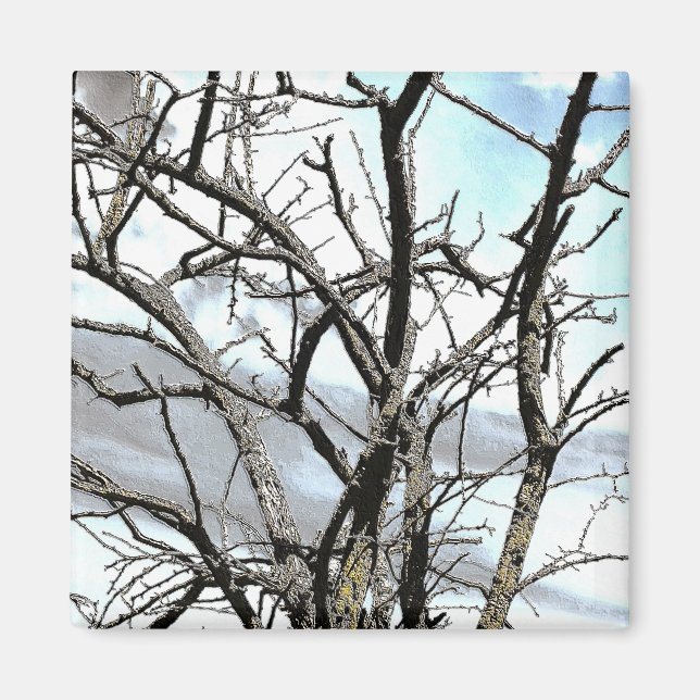 TREES MAGNET (Front)