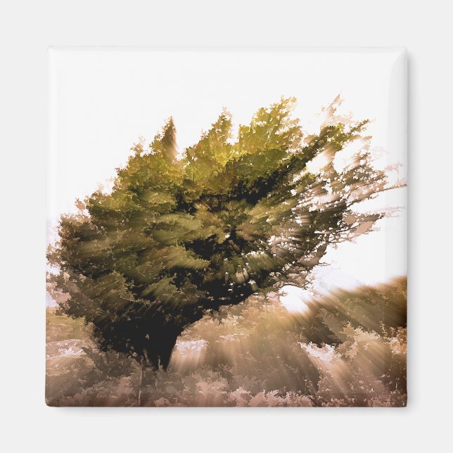 TREES MAGNET (Front)