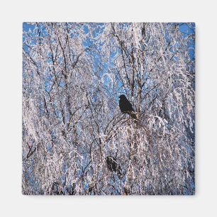 TREES MAGNET