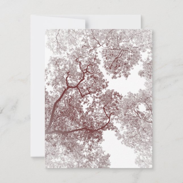 Trees Map 4 Card (Front)