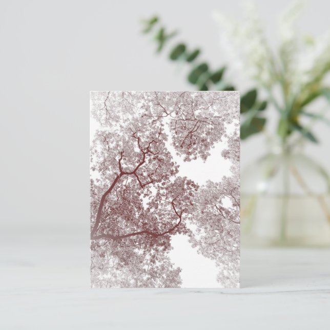 Trees Map 4 Postcard (Standing Front)