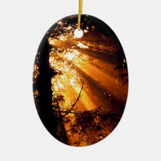 Trees Mystic Sunbeams Olympic Ceramic Tree Decoration (Front)