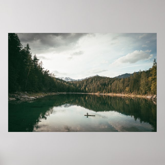 TREES NEAR BODY OF WATER DURING DAYTIME POSTER (Front)