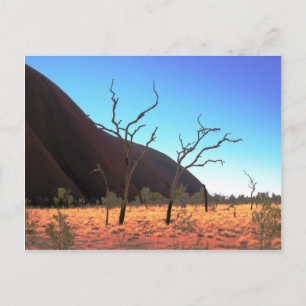 Trees of Ayers Rock Postcard