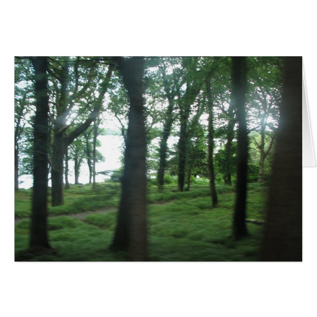 Trees of County Kerry (Front Horizontal)