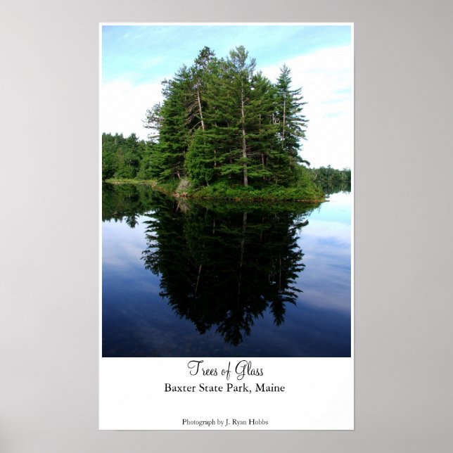 Trees of Glass Poster (Front)