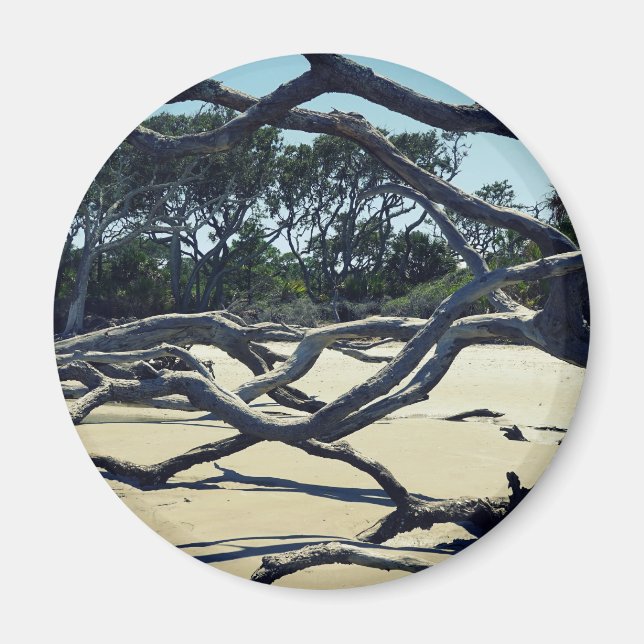 Trees on Jekyll Magnet (Front)