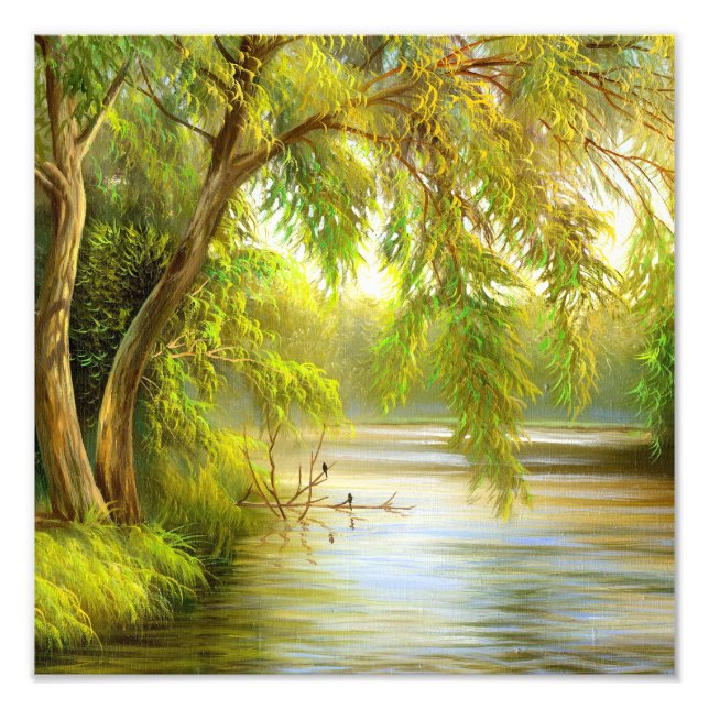 Trees over water photo print (Front)