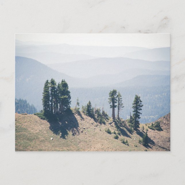 Trees Overlooking Lassen | Postcard (Front)