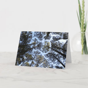 Trees perspective birthday card (h)