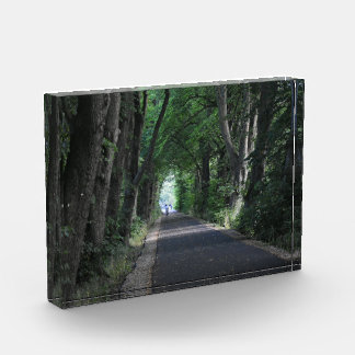 Trees Photo Block