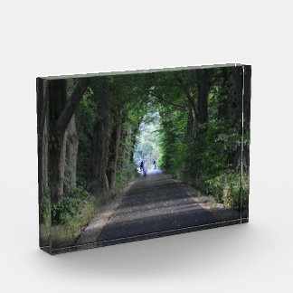 Trees  photo block
