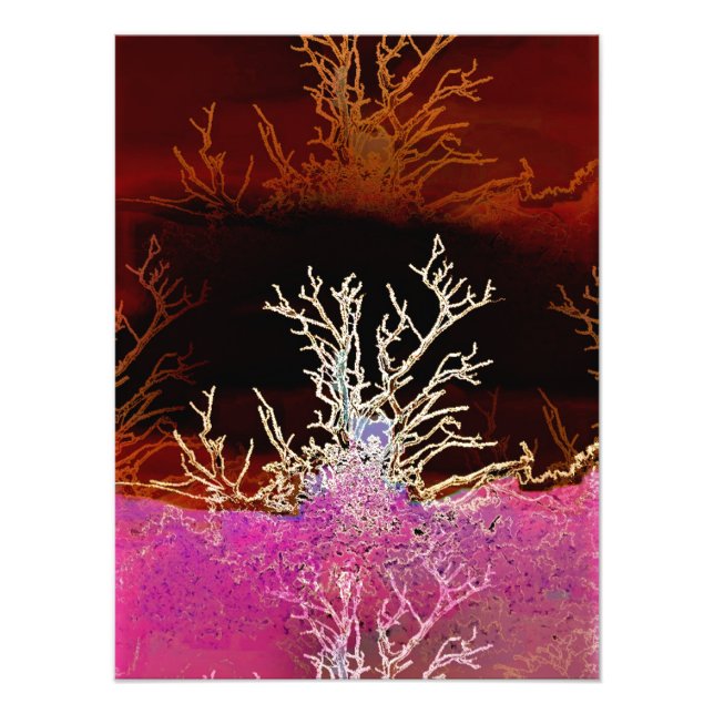 TREES PHOTO PRINT (Front)