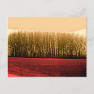 trees postcard