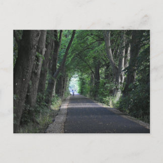 Trees  postcard