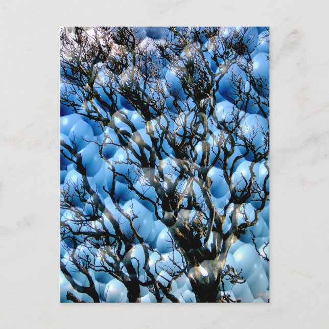 TREES POSTCARD (Front)