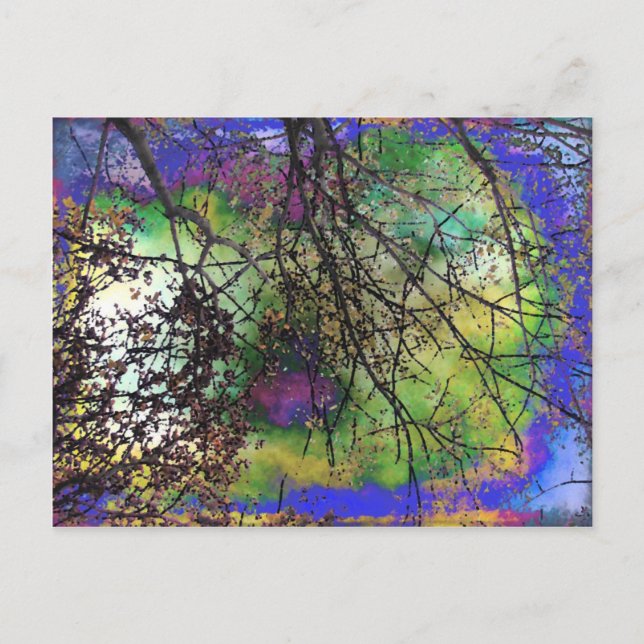 Trees Postcard (Front)