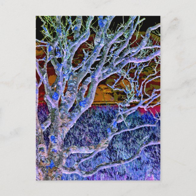 TREES POSTCARD (Front)