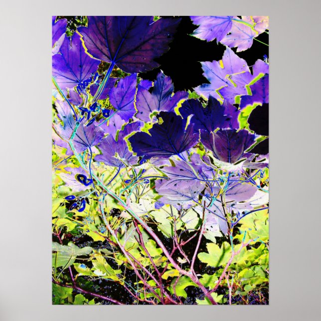 TREES POSTER (Front)