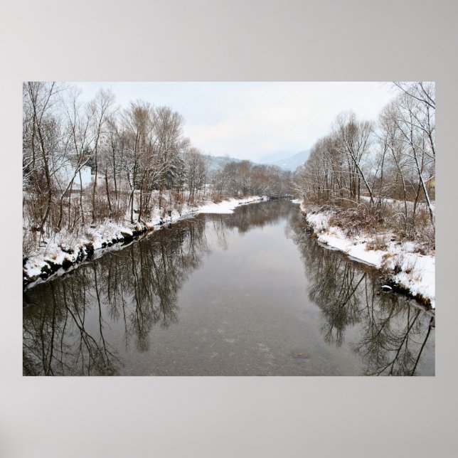 Trees Reflecting in River Poster (Front)