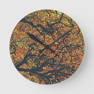 TREES ROUND CLOCK