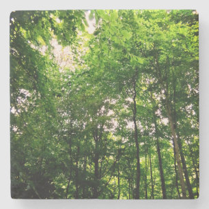 Trees Stone Coaster