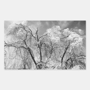trees wear winter rectangular sticker