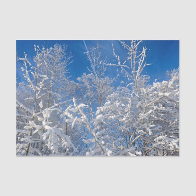 Trees Winter Snow Covered Blue Sky Scenery Tissue Paper (Front)