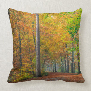 Trees with autumn foliage in a forest cushion